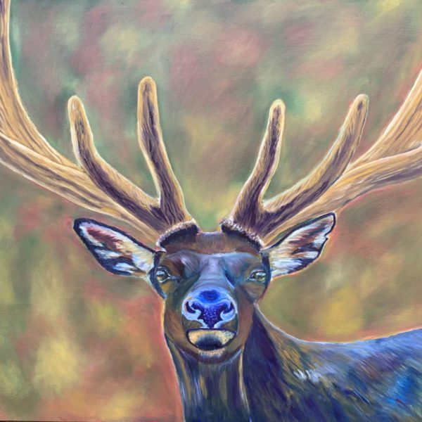"Rocky Mountain Elk" 30 x 40” ORIGINAL by Graham Watts