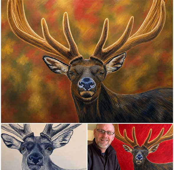 Canadian Wildlife Paintings – Graham Watts